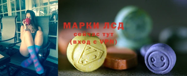 ПСИЛОЦИБИНОВЫЕ ГРИБЫ Арсеньев