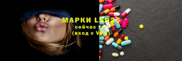 ПСИЛОЦИБИНОВЫЕ ГРИБЫ Арсеньев