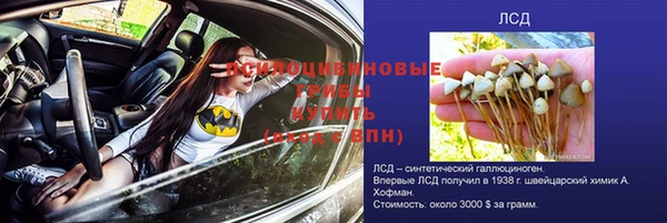 ПСИЛОЦИБИНОВЫЕ ГРИБЫ Арсеньев